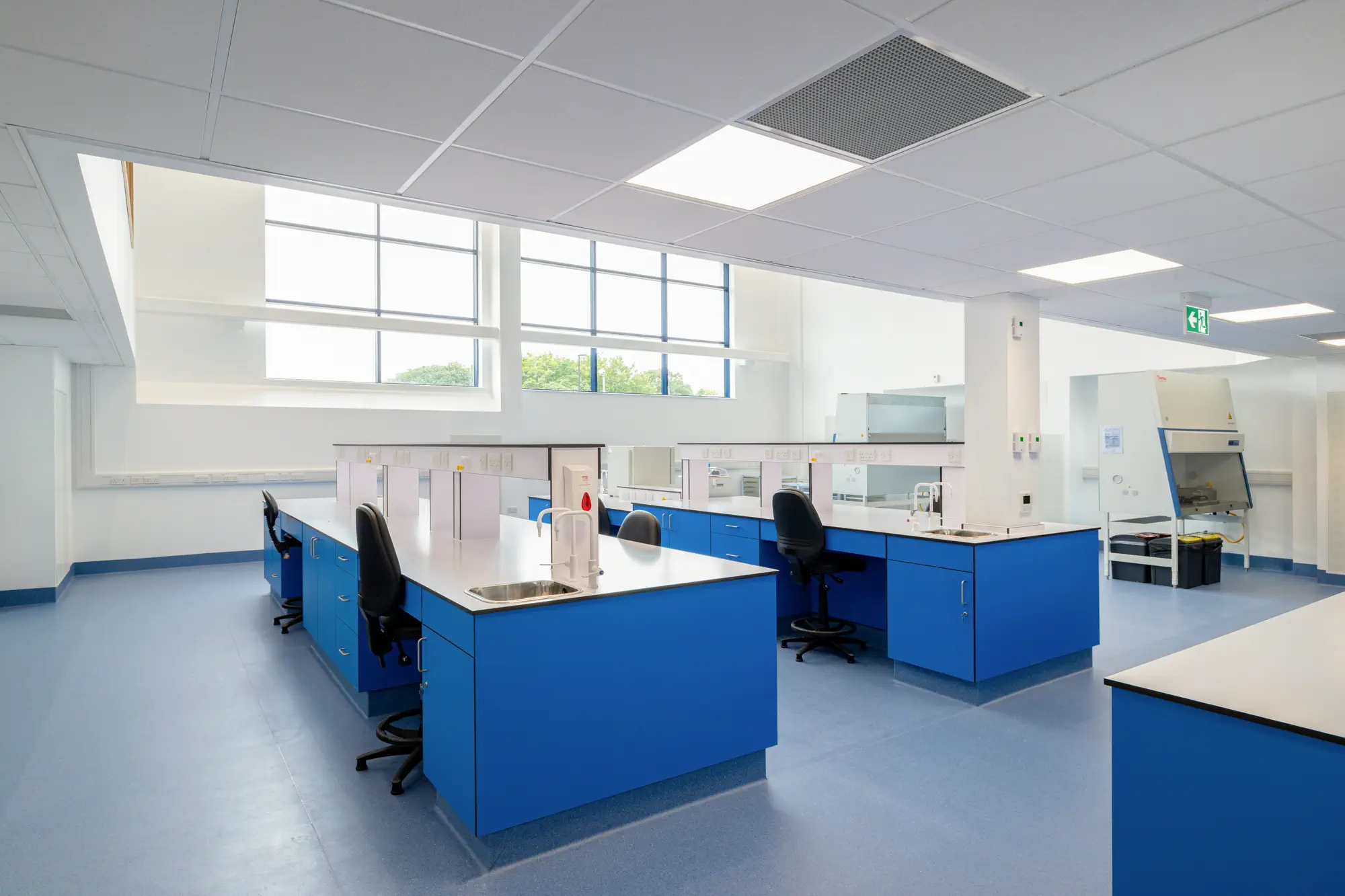 Purpose-built laboratory environment with natural daylight at Swann Morton